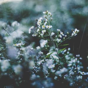 肉丝祙做爰XXXⅩ性视频小说
